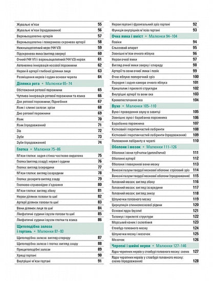 Anatomy Atlas Of Human With Latin Terminology / Атлас анатомії людини з латинською термінологією FRANN NETTER / Френк Неттер 9786175058695-6