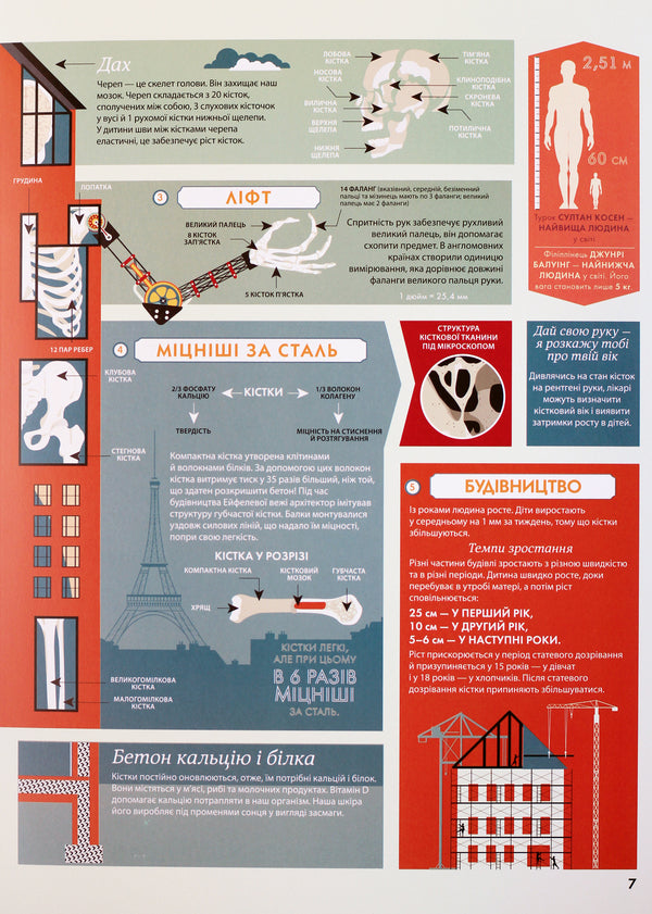Anatomy Cartography Of The Human Body - Анатомя Картографя людського тла Jack Guichard, Sarah Tavernier, Alexander Veril - Джек Гшар, Сара Тавернь, Олександр Верль 9786170937605-6