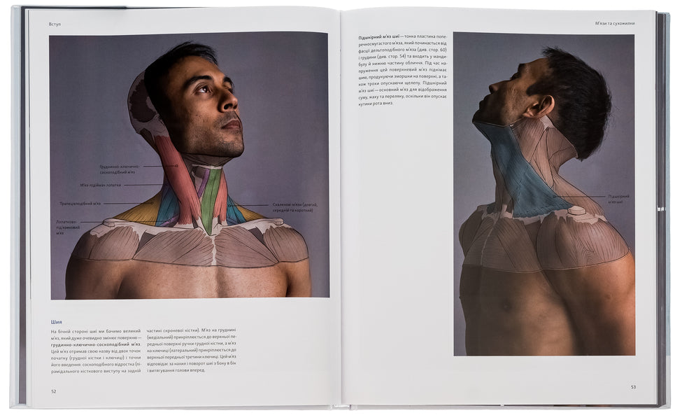 Anatomy For Artists. A Visual Guide From The Image Of The Human Body / Анатомія для художників. Наочний посібник із зображення людського тіла Jachirol Amain / Чжхірул Амін 9786178025212-5