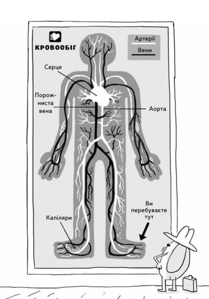 Anatomy for children / Анатомія для дітей Адам Кей 9789669153739-6