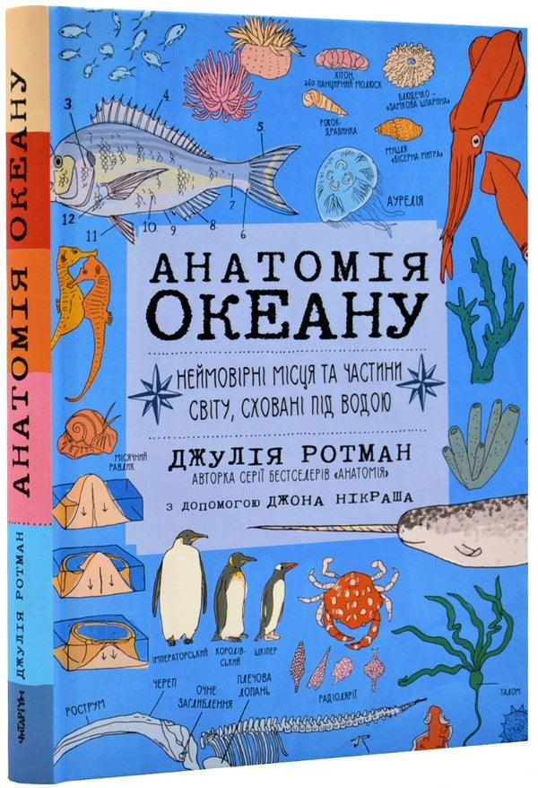 Anatomy of the ocean. Incredible places and parts of the world hidden under water / Анатомія океану. Неймовірні місця та частини світу, сховані під водою Джулия Ротман 978-617-7329-87-8-1