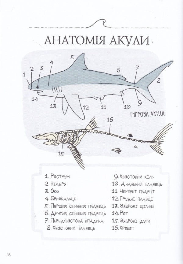 Anatomy of the ocean. Incredible places and parts of the world hidden under water / Анатомія океану. Неймовірні місця та частини світу, сховані під водою Джулия Ротман 978-617-7329-87-8-5