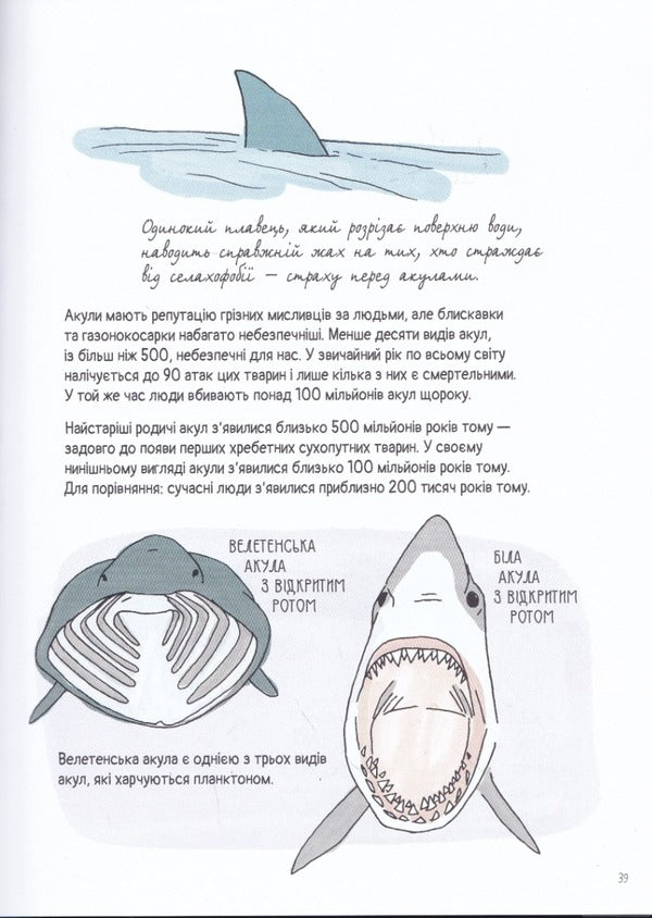 Anatomy of the ocean. Incredible places and parts of the world hidden under water / Анатомія океану. Неймовірні місця та частини світу, сховані під водою Джулия Ротман 978-617-7329-87-8-6
