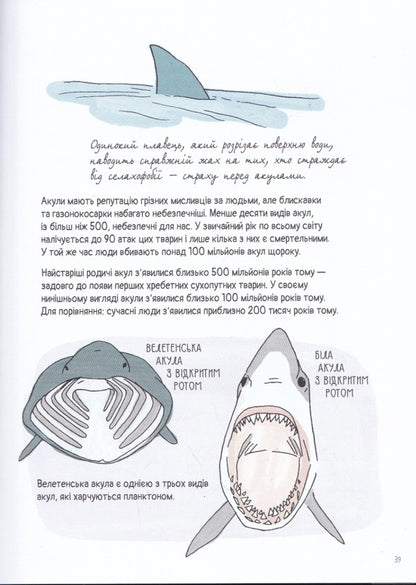 Anatomy of the ocean. Incredible places and parts of the world hidden under water / Анатомія океану. Неймовірні місця та частини світу, сховані під водою Джулия Ротман 978-617-7329-87-8-6