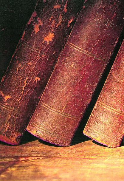 Ancient Ukrainian students and professors / Давньоукраїнські студенти і професори Василий Микитась 9786110117685-2