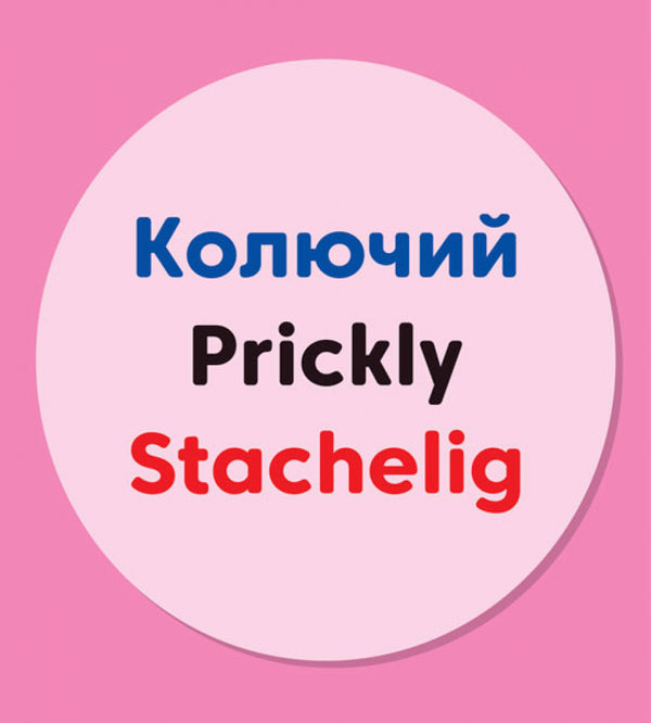 And What Are You? Dictionary In Pictures - А ти який Словничок у малюнках - Author not specified 9789667491208-5