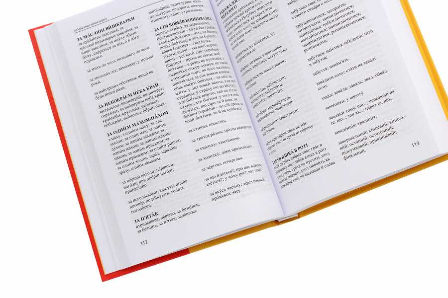 And What Do You Say? Dictionary Of Linguistic Diversity / А як кажуть у Вас? Словник мовного розмаїття Taras Bereza / Тарас Береза 9786176296638-5