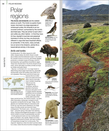 Animal. The Definitive Visual Guide / Author not specified 9780241569573-4