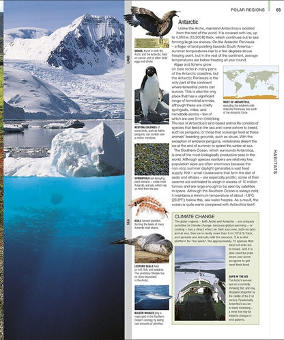 Animal. The Definitive Visual Guide / Author not specified 9780241569573-5