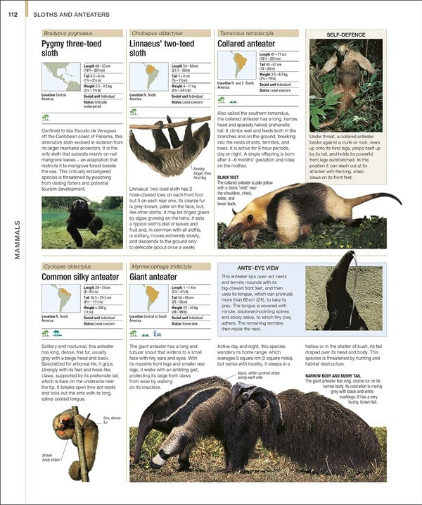 Animal. The Definitive Visual Guide / Author not specified 9780241569573-6