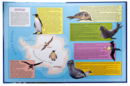 Animal Atlas Of The Seven Continents With Stickers + A Set Of 25 Animated Cards - Атлас Тварини семи континентв з налпками + набр оживаючих карток 25 штук - Author not specified 9786178237127-4