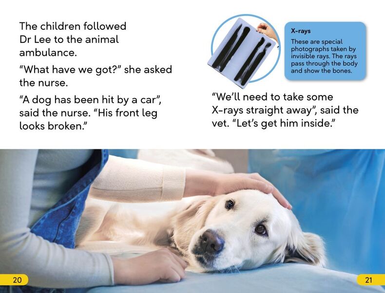 Animal Hospital / Author not specified 9780241602379-4