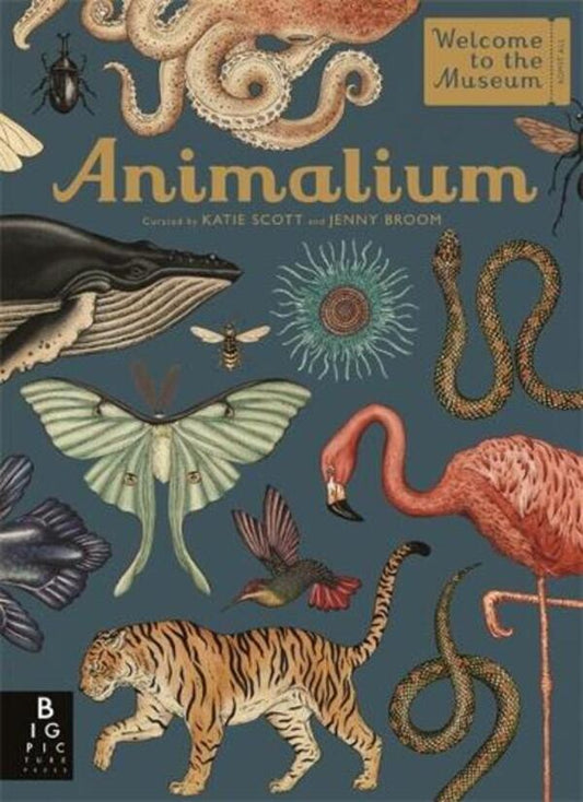 Animalium / Animalium Дженни Брум 978-1-78741-164-7-1