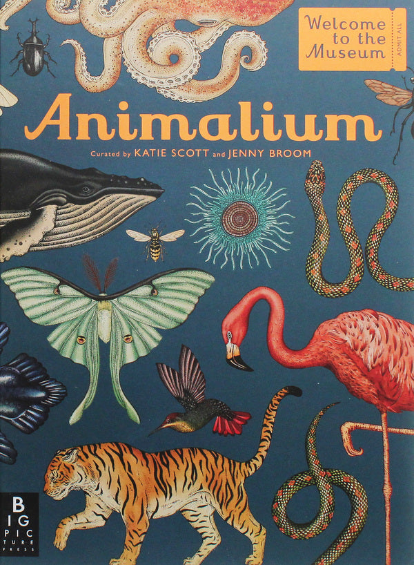 Animalium / Animalium Дженни Брум 978-1-78741-164-7-2