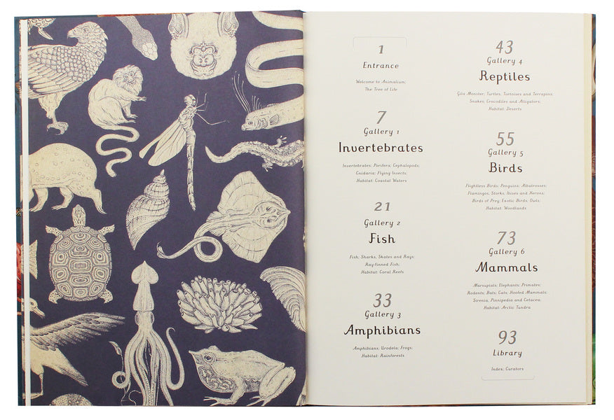 Animalium / Animalium Дженни Брум 978-1-78741-164-7-5