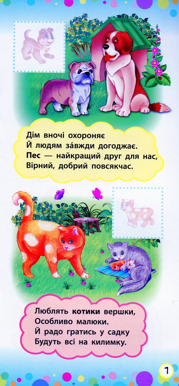 Animals / Тварини / Author not specified 9789662846416-4