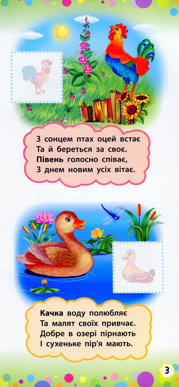 Animals / Тварини / Author not specified 9789662846416-6
