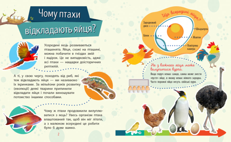 Animals / Тварини Анна Булгакова 978-617-09-3781-0-3