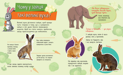Animals / Тварини Анна Булгакова 978-617-09-3781-0-4
