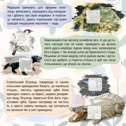 Animals / Тварини Ekaterina Shapovalova / Екатерина Шаповалова 9789669892683-5