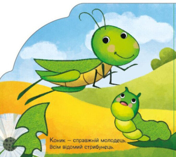 Animals And Plants / Тваринки та рослинки Irina Sun / Ірина Сун 9789667616564-5