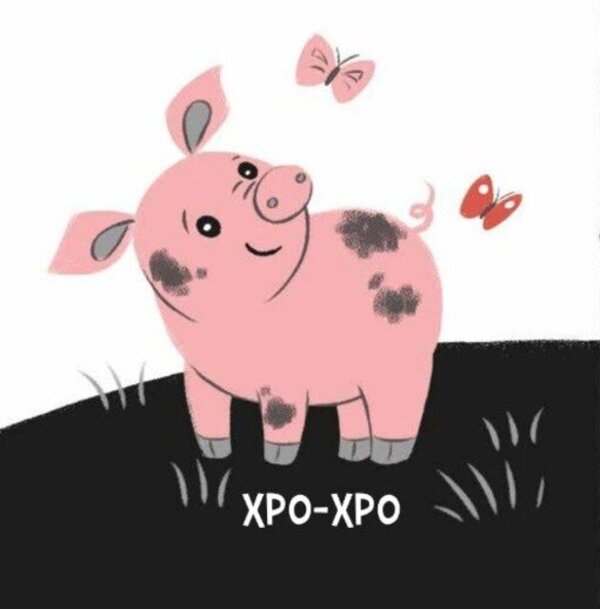 Animals And Sounds / Звірята і звуки Natalya Myroshnychenko / Наталія Мірошниченко 9789667615864-4