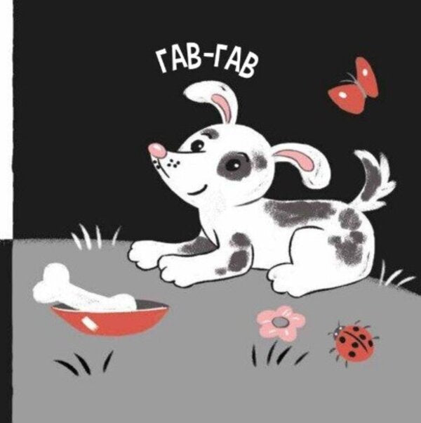 Animals And Sounds / Звірята і звуки Natalya Myroshnychenko / Наталія Мірошниченко 9789667615864-5