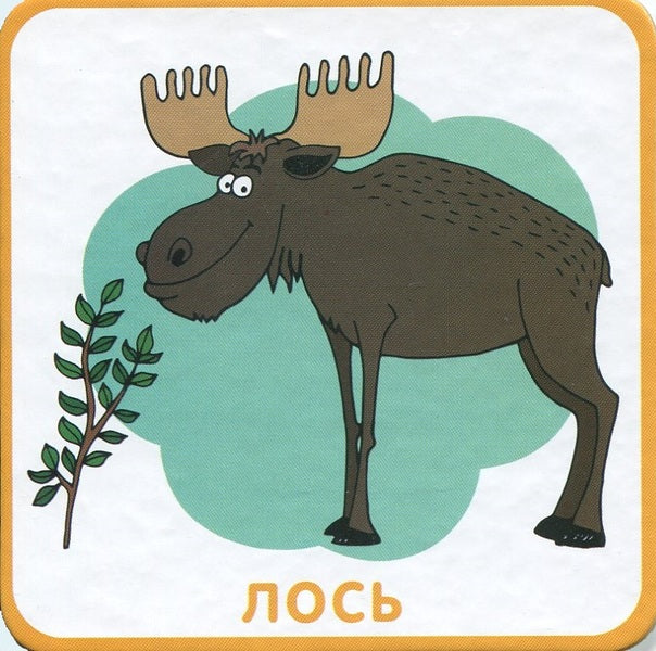 Animals Animal world on cards / Тварини. Тваринний світ на картках  978-966-97268-7-2-3