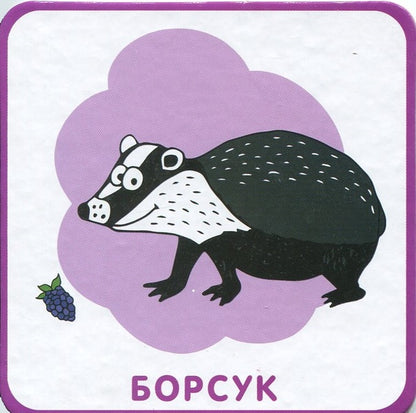 Animals Animal world on cards / Тварини. Тваринний світ на картках  978-966-97268-7-2-4