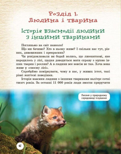 Animals Around Us / Тварини навколо нас Svetlana Ogiyenko, Roman Trokhymchuk / Светлана Огиенко, Роман Трохимчук 9786170990600-4