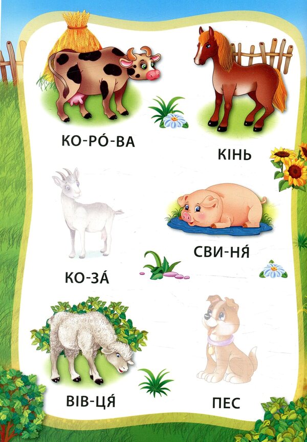 Animals Book With Stickers - Тварини. Книжка з налпками - Author not specified 9789662845792-3