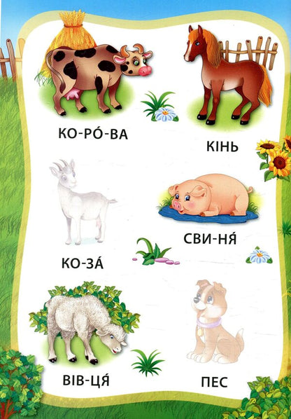 Animals Book With Stickers - Тварини. Книжка з налпками - Author not specified 9789662845792-3