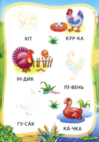 Animals Book With Stickers - Тварини. Книжка з налпками - Author not specified 9789662845792-4