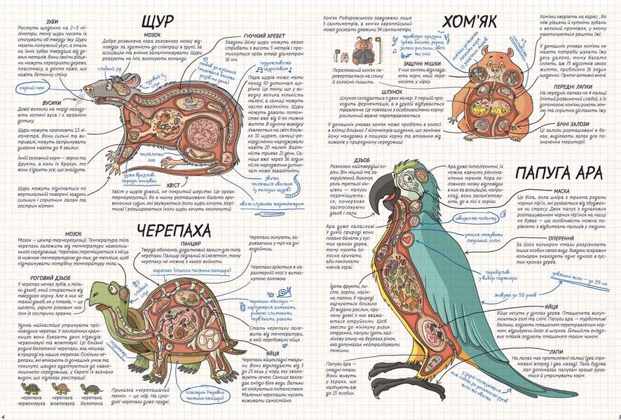 Animals How does it work? / Тварини. Як це працює? Никола Кухарска 978-966-429-552-6-6