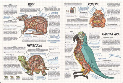 Animals How does it work? / Тварини. Як це працює? Никола Кухарска 978-966-429-552-6-6