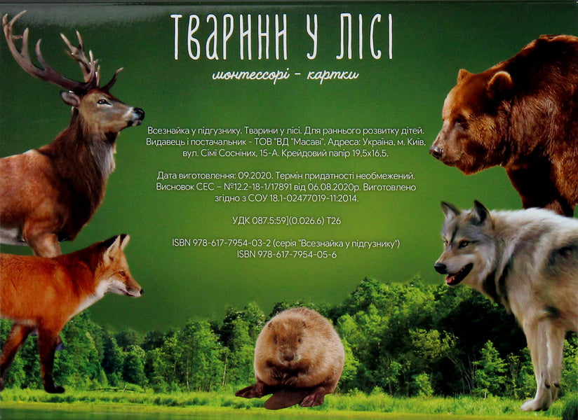 Animals In The Forest Montessori Cards - Тварини у лс Монтессор-картки - Author not specified 9786177954056-2