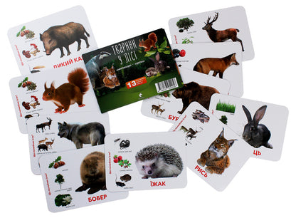 Animals In The Forest Montessori Cards - Тварини у лс Монтессор-картки - Author not specified 9786177954056-3