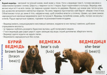 Animals In The Forest Montessori Cards - Тварини у лс Монтессор-картки - Author not specified 9786177954056-5