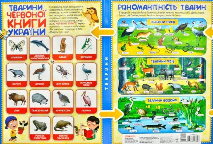 Animals Mini-lapbook. NUSH / Тварини. Міні-лепбук. НУШ  4823076143893-3