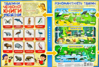 Animals Mini-lapbook. NUSH / Тварини. Міні-лепбук. НУШ  4823076143893-3