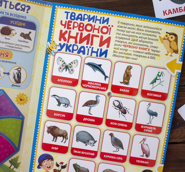Animals Mini-lapbook. NUSH / Тварини. Міні-лепбук. НУШ  4823076143893-6
