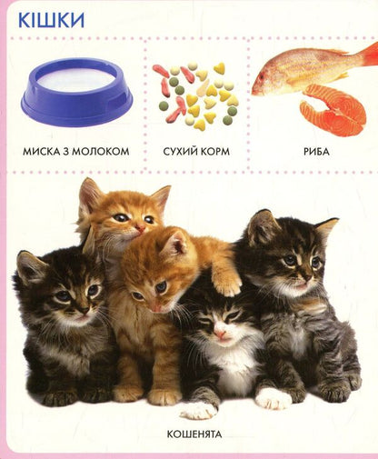 Animals My First Book / Тварини. Моя перша книжка / Author not specified 9789664628584-5