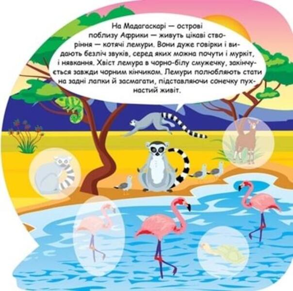 Animals Of Africa Educational Stickers - Тварини Африки Пзнавальн налпки - Author not specified 9786175241608-3