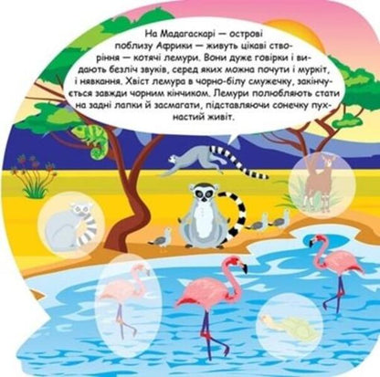 Animals Of Africa Educational Stickers - Тварини Африки Пзнавальн налпки - Author not specified 9786175241608-3
