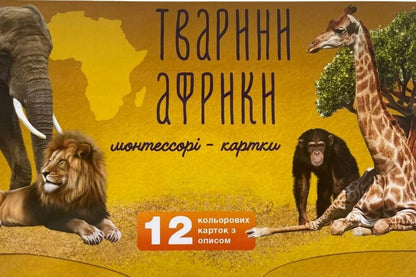 Animals Of Africa Montessori Cards - Тварини Африки Монтессор-картки - Author not specified 9786177985005-1