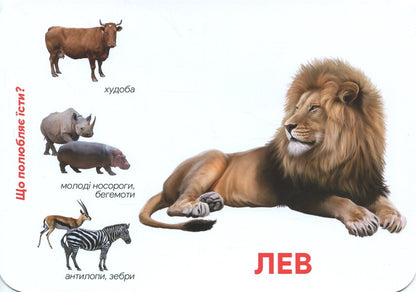 Animals Of Africa Montessori Cards - Тварини Африки Монтессор-картки - Author not specified 9786177985005-3