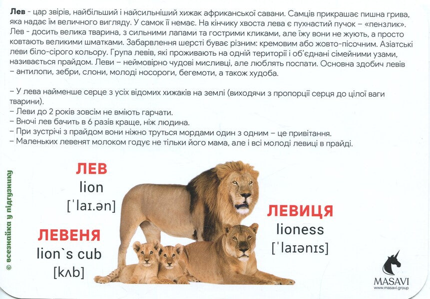 Animals Of Africa Montessori Cards - Тварини Африки Монтессор-картки - Author not specified 9786177985005-4