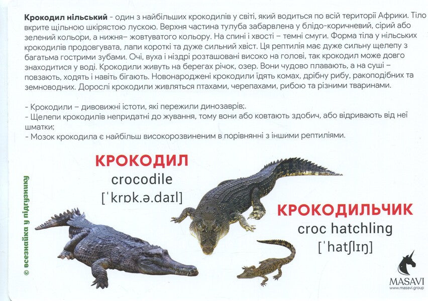 Animals Of Africa Montessori Cards - Тварини Африки Монтессор-картки - Author not specified 9786177985005-6