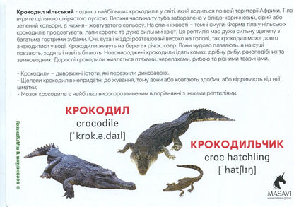 Animals Of Africa Montessori Cards - Тварини Африки Монтессор-картки - Author not specified 9786177985005-6
