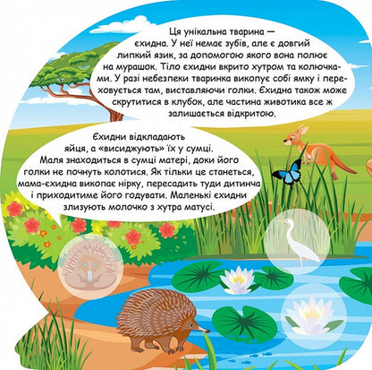 Animals Of Australia Educational Stickers - Тварини Австрал Пзнавальн налпки - Author not specified 9786175241615-3